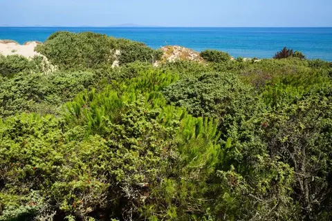 Q Resort Hotel in Sòssu/Sorso — foto 14