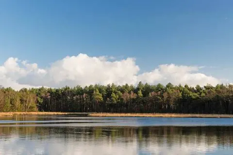 Recreatieoord Wilhelm Tell foto 29