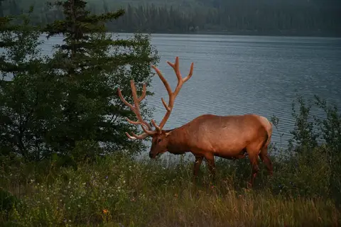 Western Canada & The Inside Passage in Toronto, foto 15