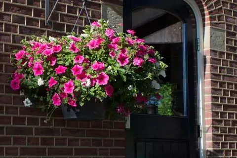 Bed and Breakfast Erve de Bosch foto 14