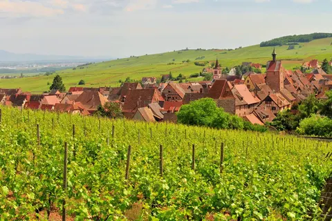 Ontdek Elzas en Vogezen foto 1