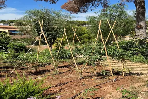 Serawa Moraira in Teulada — foto 12