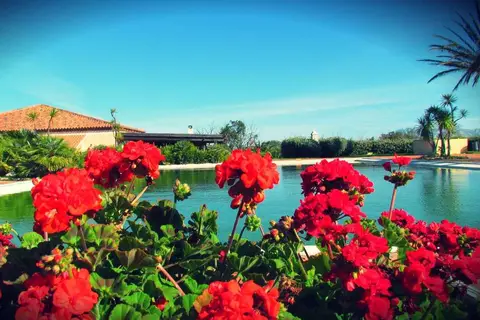 Residence Liscia Eldi in San Teodoro — foto 18