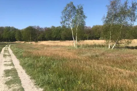 Renaissance Amsterdam Schiphol Airport Hotel foto 17