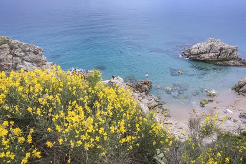 Roca Grossa in Calella — foto 3
