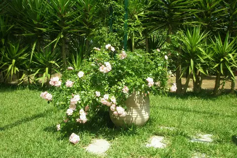Tenuta Belvedere in Otranto, foto 9