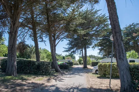 Camping Les Grenettes foto 8