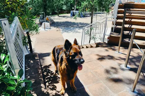 Luxor Chianti Glamping Village in Castellina in Chianti — foto 19