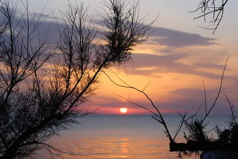 Camping La Vecchia Torre foto 20