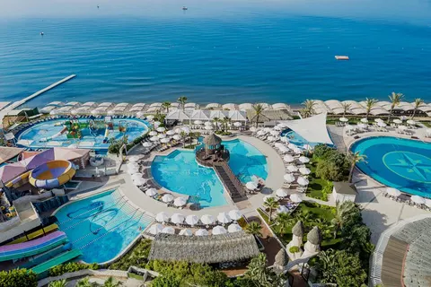 Papillon Belvil foto 5