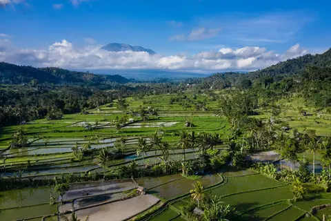 Bali in stijl in Surakarta — foto 7
