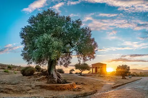Sicilië op het gemak in Nicolosi