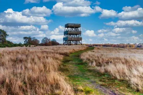 Summio Vakantiepark Het Drentse Wold foto 16