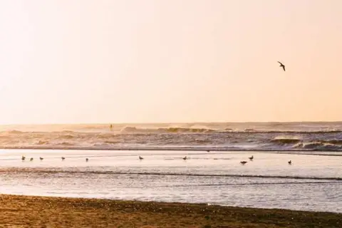 Hotel Paradis in Zandvoort — foto 20