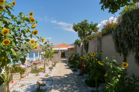 Appartementen Little Bird foto 2