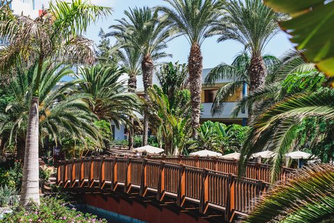 Hotel R2 Pajara Beach foto 9