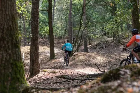 Landgoed &ampapos;t Wildryck foto 20