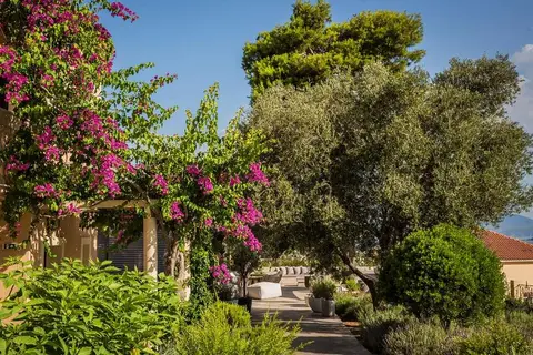 Thalassa Boutique Hotel in Lassi, foto 22