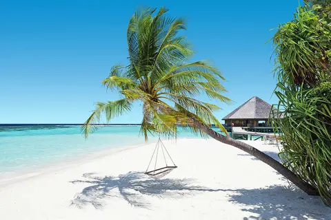 Vilamendhoo Island Resort & Spa in Vilamendhoo Island Resort & Spa — foto 19