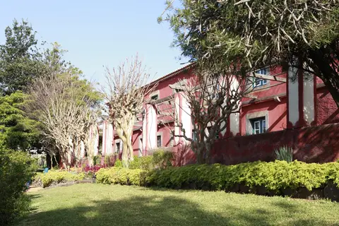 Quinta das Vinhas in Calheta — foto 8