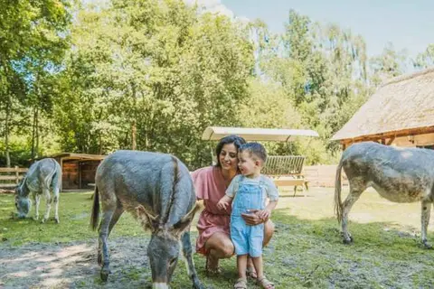 Vakantiepark Dierenbos in Vinkel — foto 6