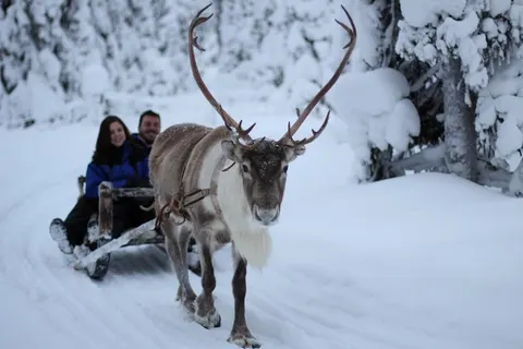 8 daagse excursiereis The Nature of Ruka foto 2