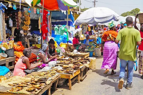 8-daagse rondreis Verrassend Gambia & Senegal foto 5