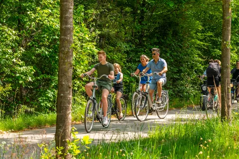 Vakantiepark Hooge Veluwe foto 16