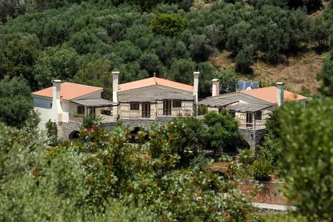 Aposperitis Villas in Δροσιά — foto 2