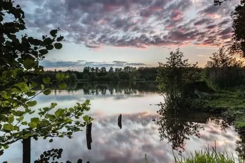 Hotel Restaurant Hackmann-Atter foto 22
