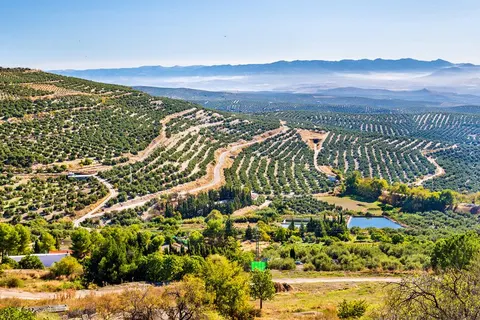 8 daagse fly drive Authentiek Andalusië foto 2