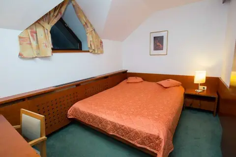 Kranjska Gora Hotel in Kranjska Gora — foto 9