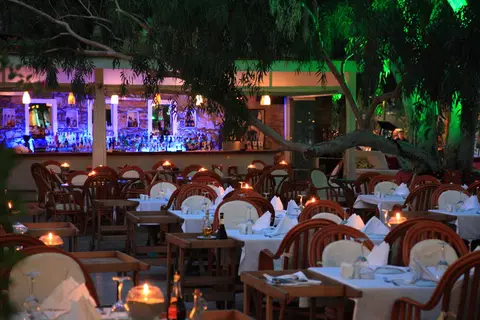 Okaliptus in Bodrum, foto 16