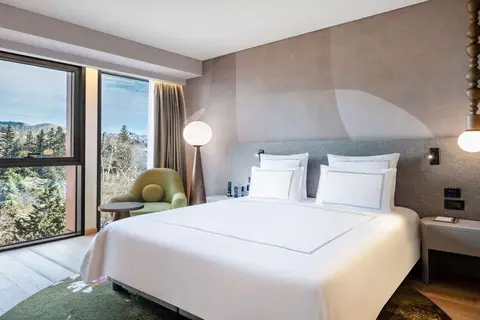 Swissotel Tbilisi in Tbilisi