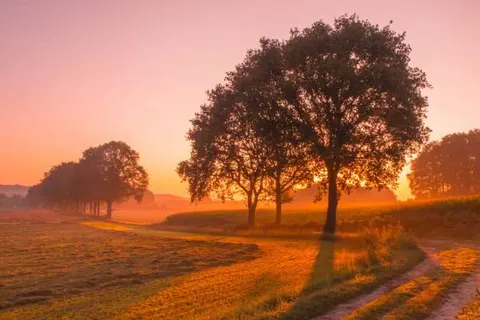 Hotel De Oude Molen foto 17