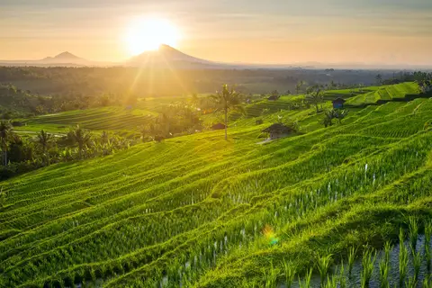 Traditioneel Bali in Surakarta — foto 9