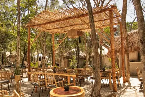 The Yellow Nest in Manuel Antonio Ay, foto 26