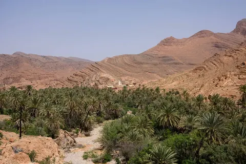 Het schitterende zuiden foto 21