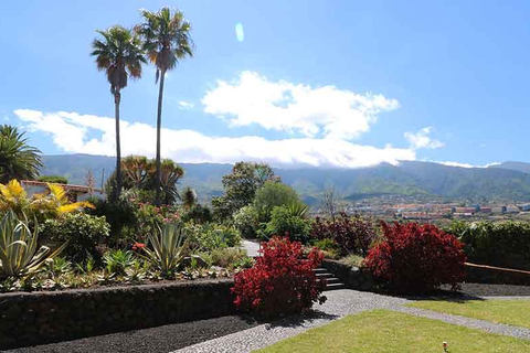 Appartementen Miranda foto 12