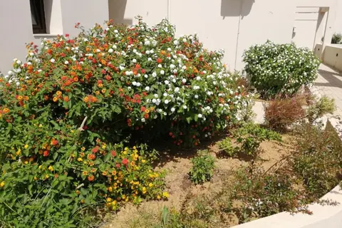 Carisa Maleme in Máleme — foto 25