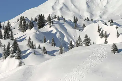 Hotel Edelweis in Lech — foto 16