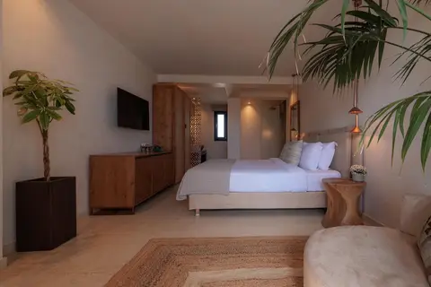 Asty Mykonos Hotel & Spa in Τούρλος — foto 14