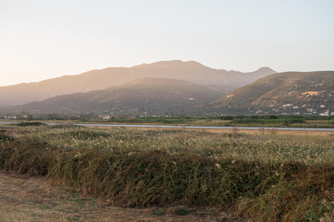 Naftilos Rosmarinus foto 19