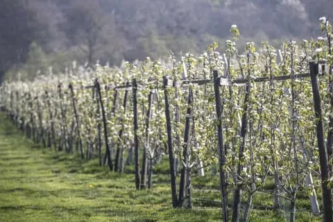 Merici Hotel Sittard foto 21