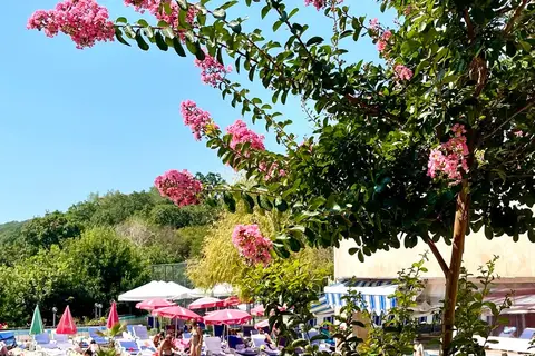 BSA Holiday Park Hotel in СПА център Ривиера Бийч — foto 2