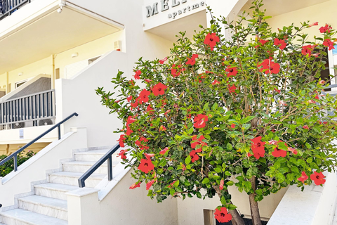 Melitti Studios & Apartments foto 4