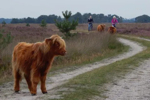 Hotel Kapellerput Heeze-Eindhoven foto 26