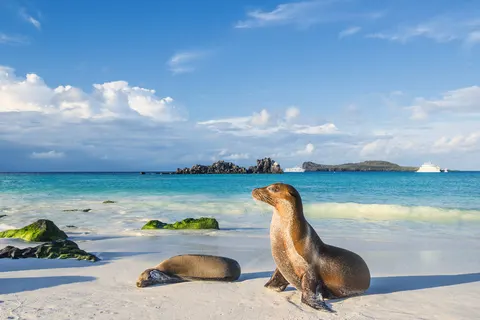 Beautiful Ecuador and Galapagos foto 1