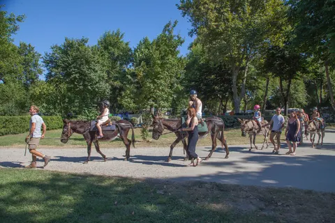 Camping Merendella foto 19