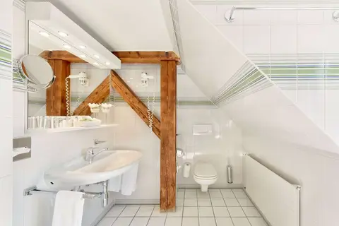 Astra Hotel Vevey in Vevey — foto 21